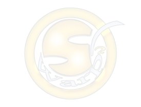 440c2736909da3e8ebfd60fe7976c275_1547477183_8097.jpg